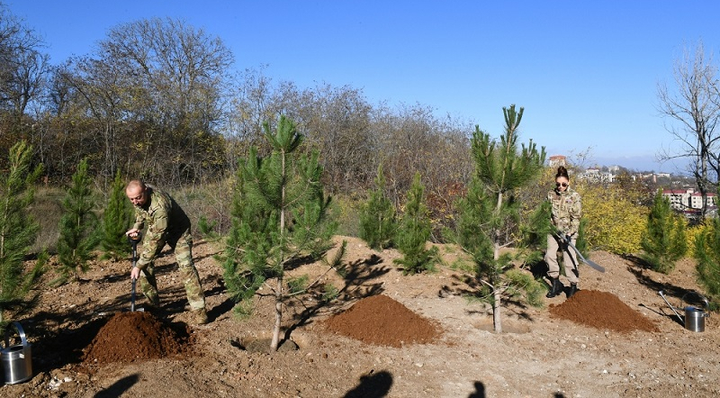 Azerbaijani president and first lady plant trees in Jidir Duzu