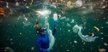 One-use plastics of pandemic contributing to massive ocean waste: research
