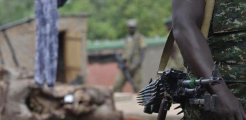 Army kills 8 rebels in Democratic Republic of Congo