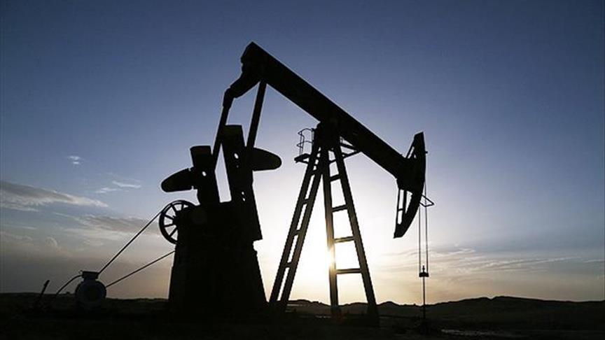 Global oil output rises by 1.45% in October