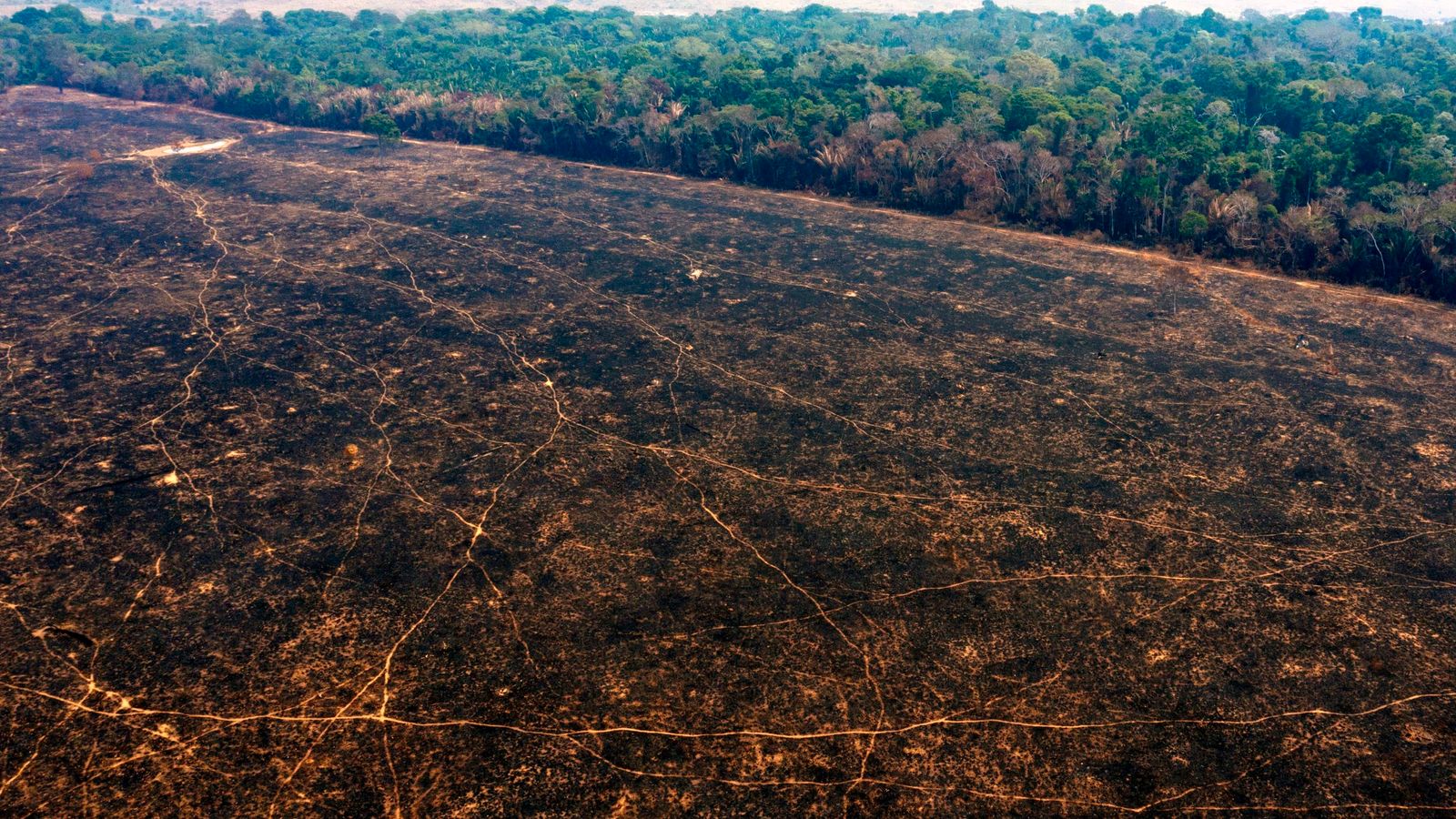 Brazil Amazon deforestation up 22% in a year, 15-yr record