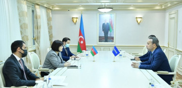 TURKPA Secretary General: Azerbaijan’s victory in the Patriotic War caused rejoicing all over the Turkic world