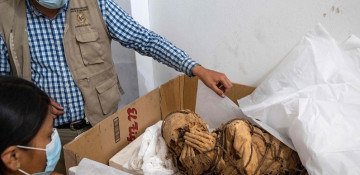Mummy up to 1,200 years old unearthed in Peru