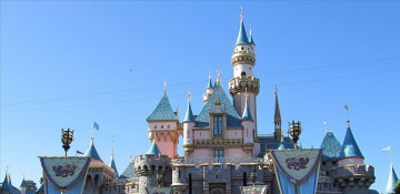 Walt Disney names Susan Arnold as its 1st chairwoman