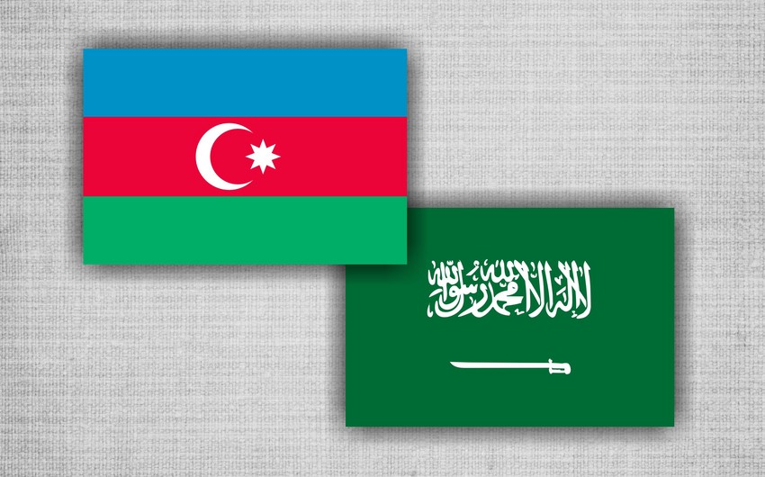 Azerbaijan, Saudi Arabia discuss issues of investment cooperation in energy