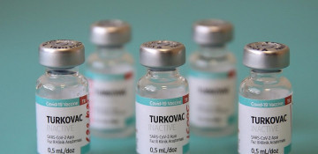 Turkey's domestic vaccine reduces COVID-19 risk by 50%