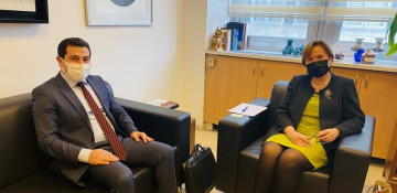 Vice President of Turkic Academy visits Ministry of Foreign Affairs of Turkiye