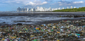 WWF calls for global joint action to tackle plastic ocean threat