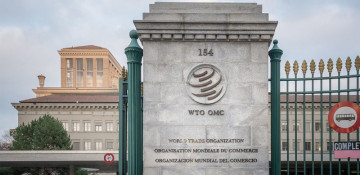 WTO says trade may turn up soon as supply pressures ease