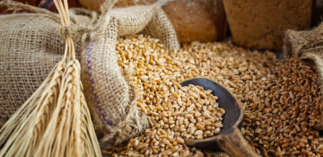 Azerbaijan restricts export of grains