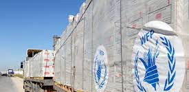 World Food Programme says food supply chains 'falling apart' in Ukraine