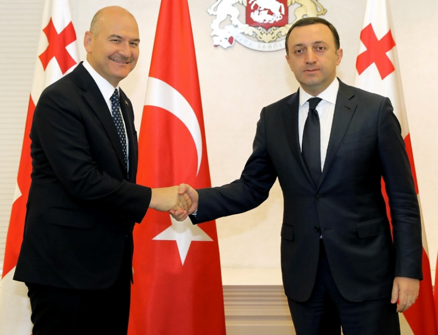 Turkiye, Georgia discuss cooperation prospects