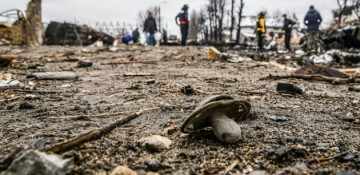 176 children killed in Ukraine since war started