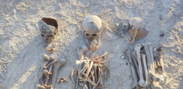 Mass graves where the humanism was massacred (ANALYTICS)