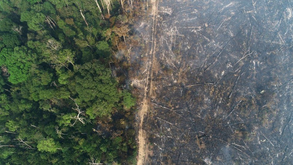 Brazil's Amazon deforestation hits April record
