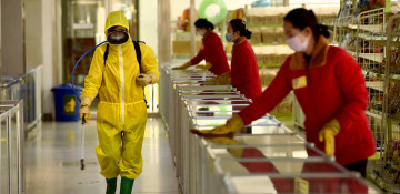 North Korea reports first case of omicron variant of COVID-19