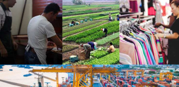 Free entrepreneurship and liberal economy (ANALYTICS)