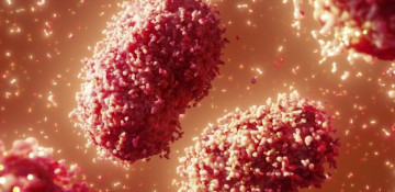 Monkeypox cases detected in three more countries for first time