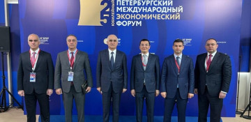 Azerbaijani deputy PM attends 25th St. Petersburg International Economic Forum