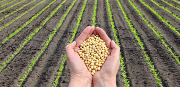 Azerbaijan will prepare a list of GMO feed products