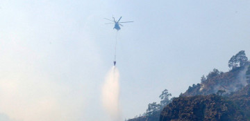 Turkiye wildfire under control after 4,500 hectares scorched