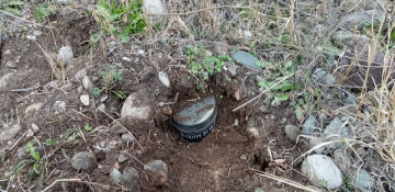 Most of the landmines found in territories liberated from the occupation are plastic-body mines - ANAMA