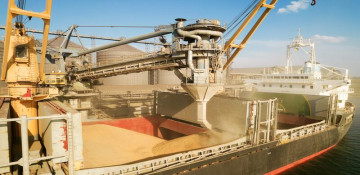 Turkish, Russian, Ukrainian and UN delegations to discuss grain transport in Istanbul tomorrow