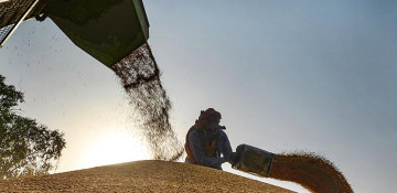 Kazakhstan intends to increase wheat export to Azerbaijan