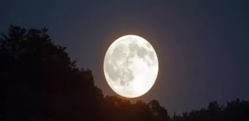 Supermoon was observed today