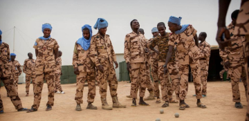 Egypt to suspend activities of its contingent in Mali U.N. mission