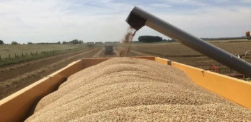 Ukraine says it hopes to resume grain exports from Odesa despite Russian strike