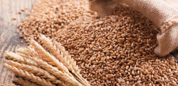 Azerbaijan launches implementation of presidential decree on food wheat