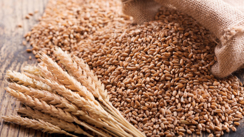 Azerbaijan launches implementation of presidential decree on food wheat