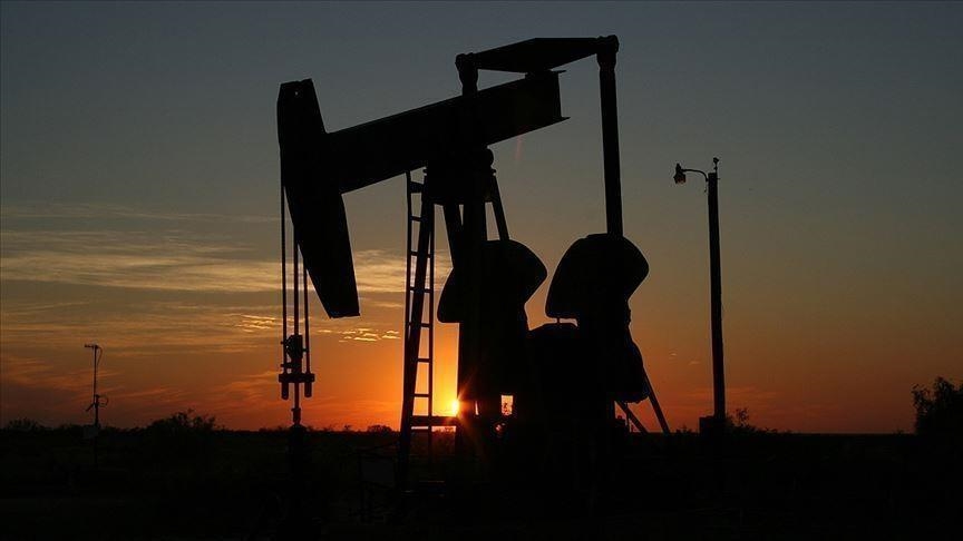 Oil steady as demand concerns offset U.S. crude stock drawdown