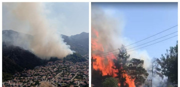 Fire started in a forest area in Turkiye and spread to nearby hotel
