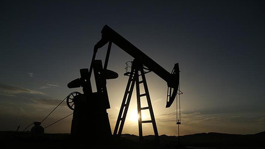 Oil prices grow on world markets
