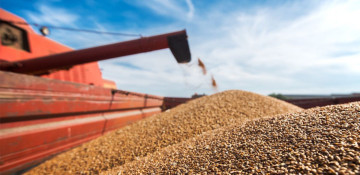 75,000 tons of wheat and food corn supplied to Azerbaijan from Saratov