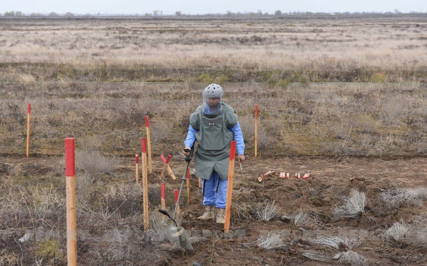 236 mines found in Azerbaijan's liberated territories last week
