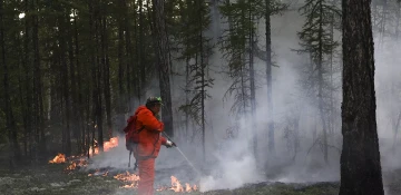 Six wildfires extinguished in Yakutia on area of over 38,300 hectares