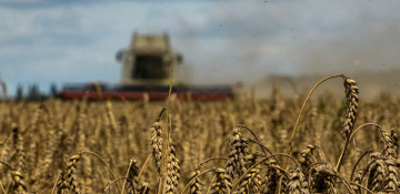 Two more grain ships leave Ukraine, Turkish DefMin says