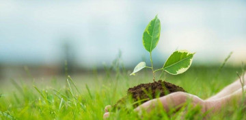 Protection of nature is one of the main directions of Azerbaijan's environmental policy (ANALYTICS)