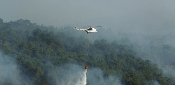 EU plans to build firefighting fleet faster after summer of climate crises