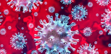 India's first nasal vaccine for Covid-19 gets DCGI nod for emergency use