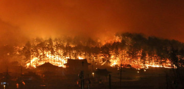 Türkiye evacuated 410 people as forest fire breaks out in the south of country 