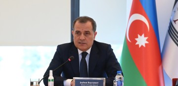 Azerbaijan's FM speaks about number of landmine victims in last 30 years