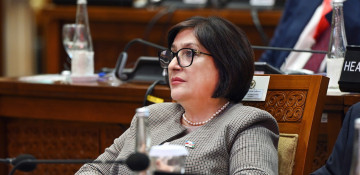 Azerbaijan's Speaker: Armenia demonstrates a destructive attitude to the conversations going on through international efforts