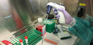 U.S. CDC concerned over new Omicron subvariants