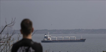 4 more grain ships leave Ukraine under Istanbul deal