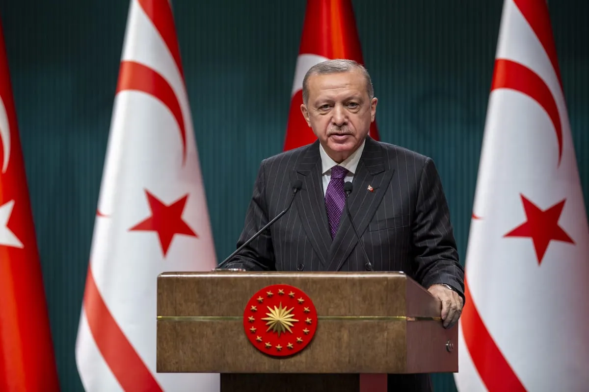 Turkish President talks importance of Fuzuli and Zangilan airports