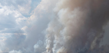 Unseasonal heat sparks dozens of wildfires in Spain